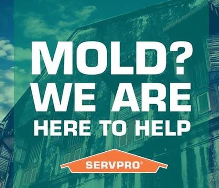 Mold Advertising